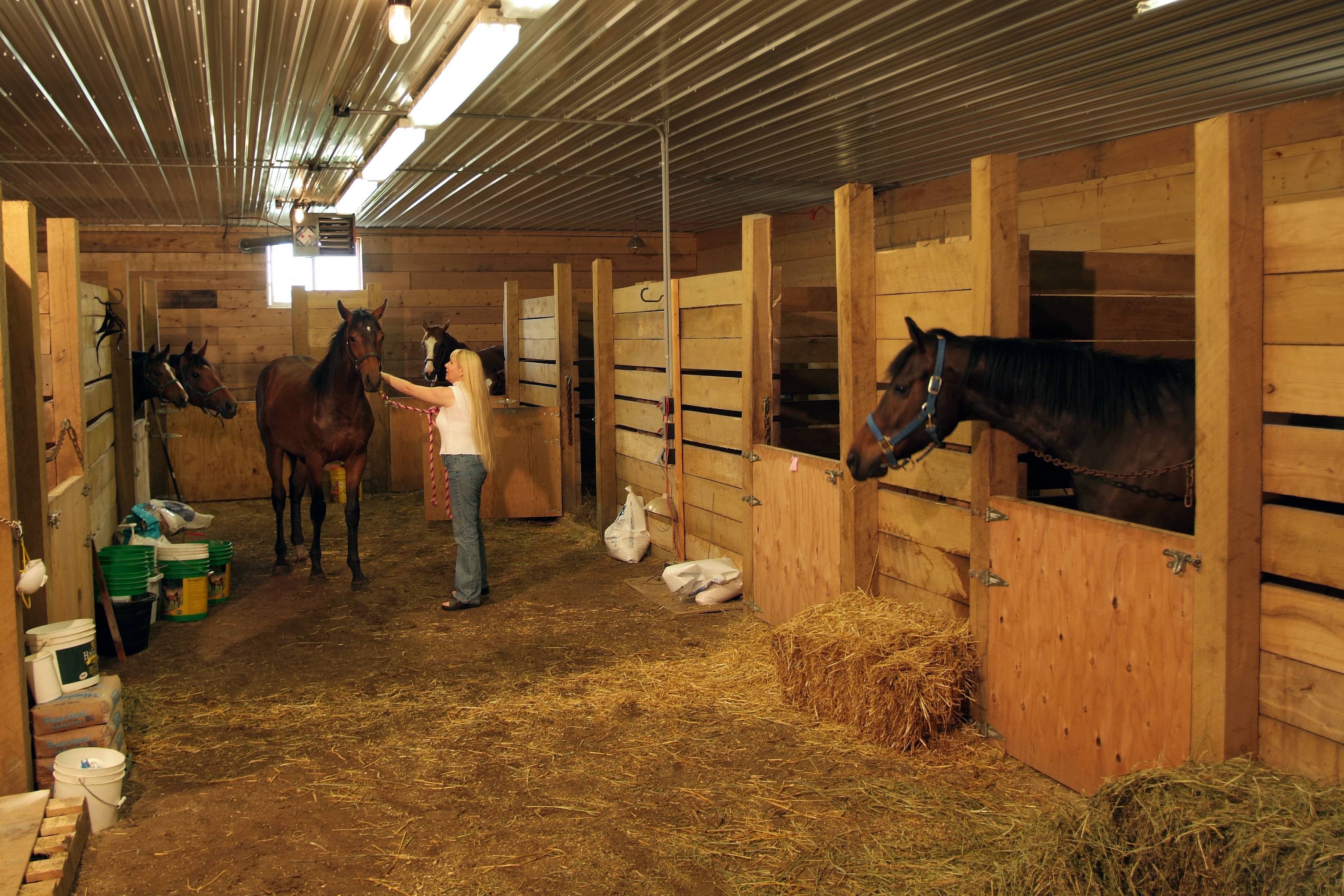 Horse arenas: Indoor riding & training facilities