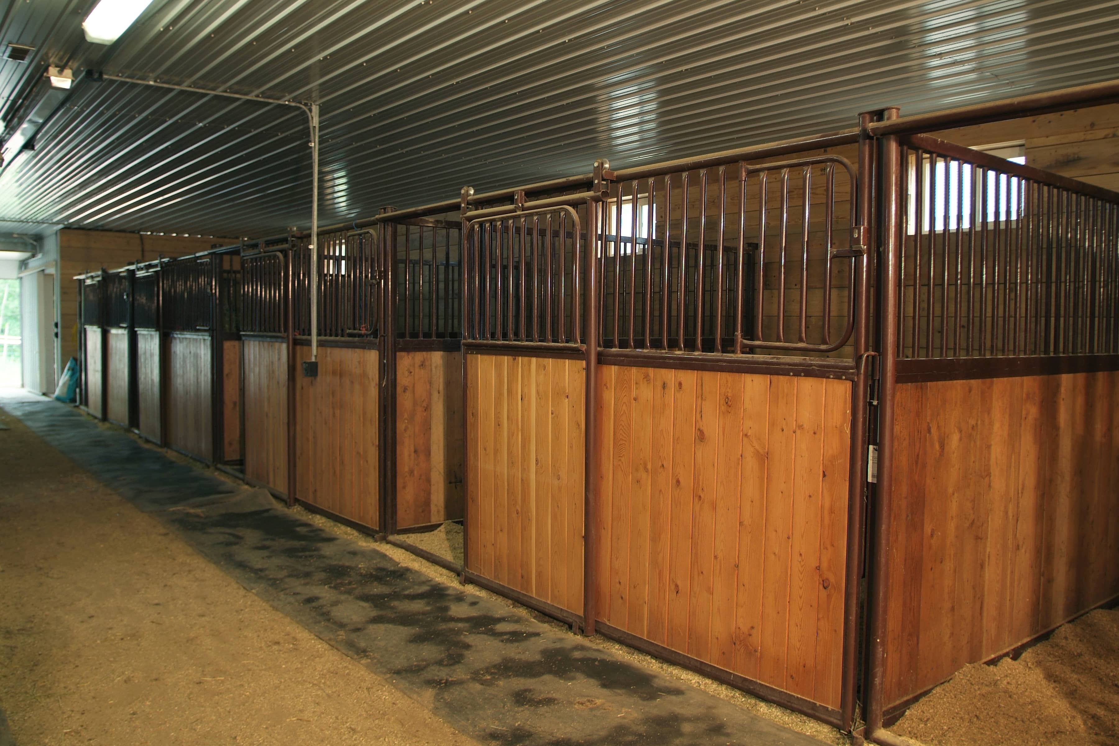 Horse arenas: Indoor riding & training facilities