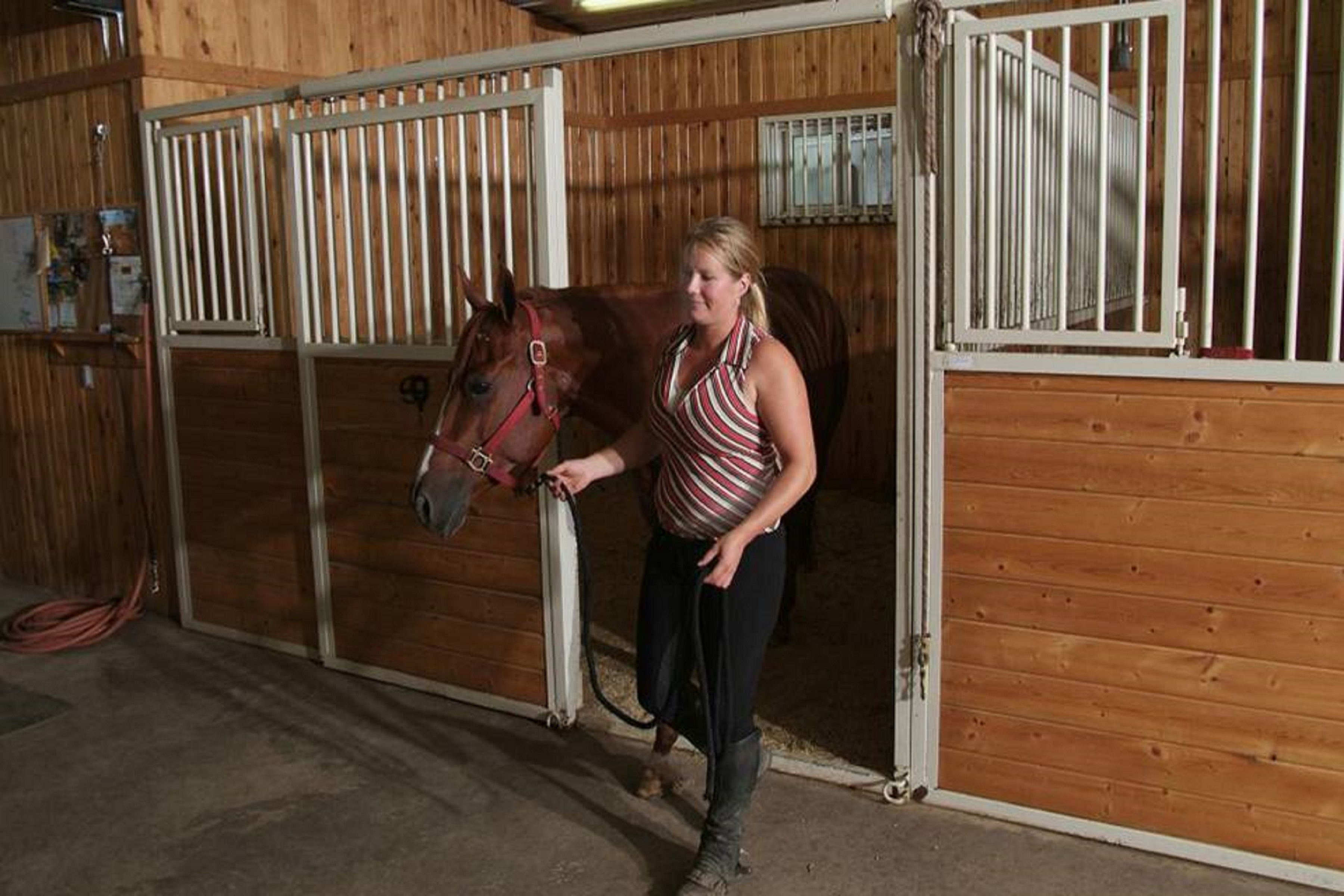 Horse arenas: Indoor riding & training facilities