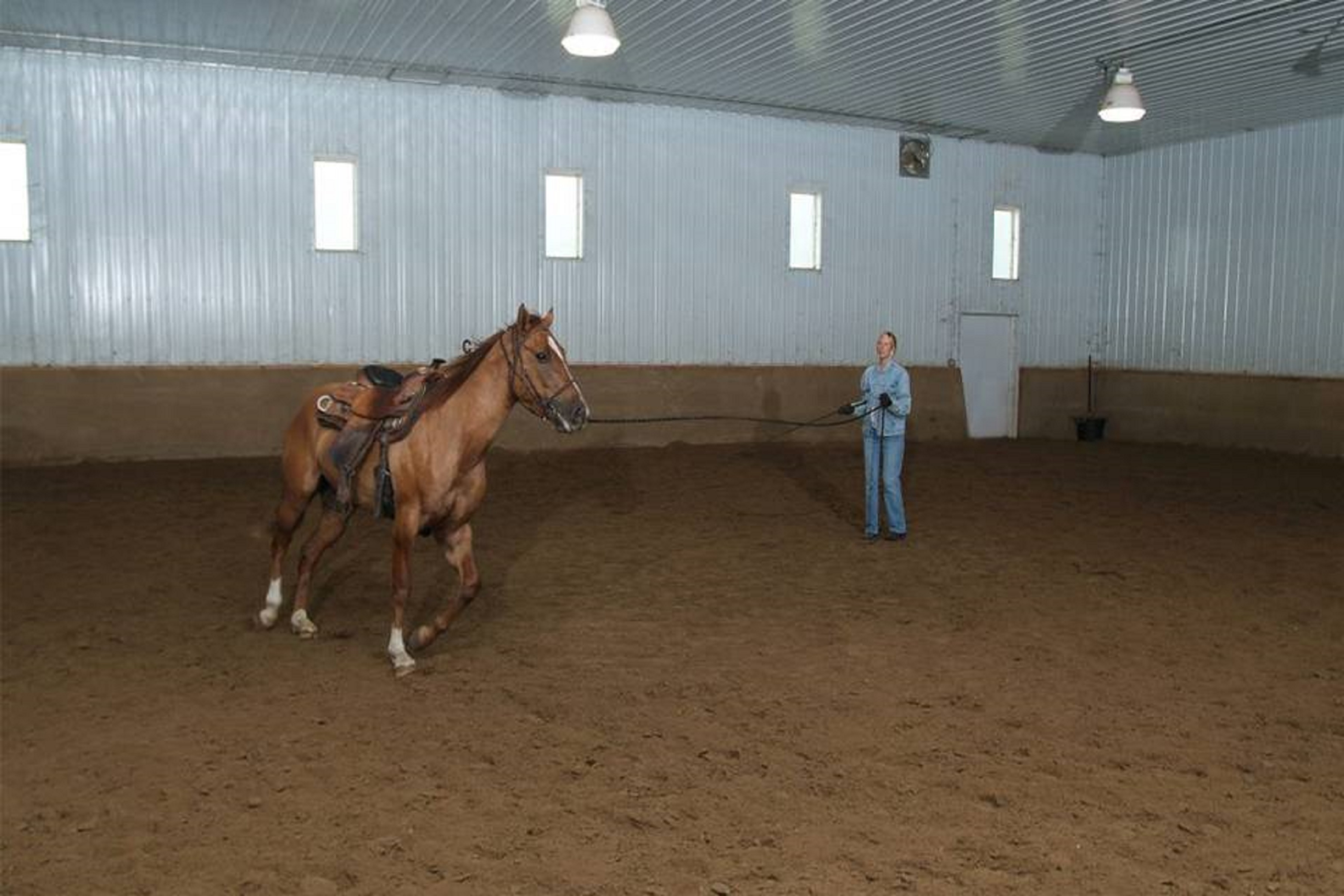 Horse arenas: Indoor riding & training facilities